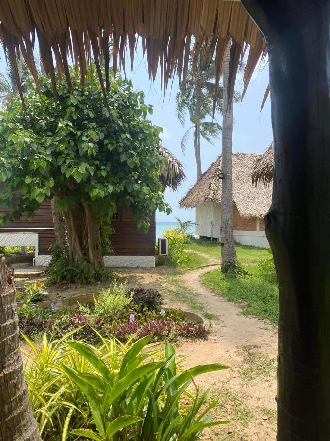 Wild Wood X Hansa Beach Fitness Resort トンサラ エクステリア 写真